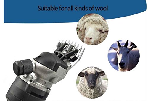 Sinbide 690W Maquina de Esquilar Eléctrica para Oveja Tijeras Máquinas para Esquiladora Tijeras de Lana Ovino Alpaca 6 Velocidades Ajustables Cuidado del Oveja (A-Negro)