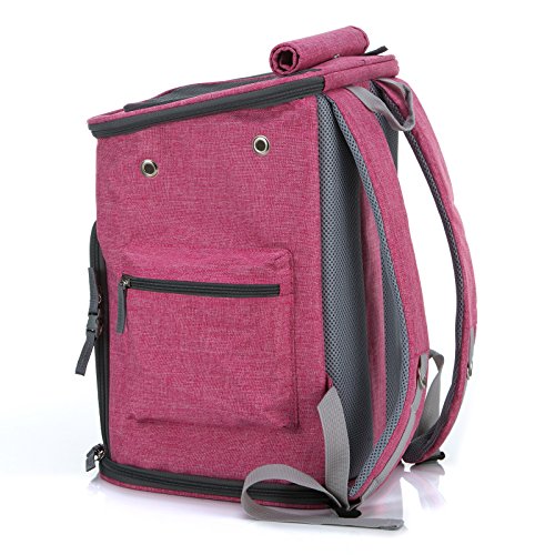 Sinobay Transportín para Mascotas, Mochila de Viaje, Lavable, Bolsillos Laterales para Botella de Agua y Bolsa de Basura, Almohadilla Desmontable y Lavable, Cachorro de Conejo, para Diario o de Viaje