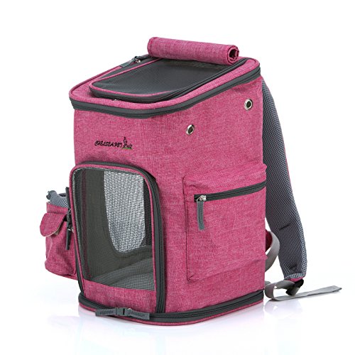 Sinobay Transportín para Mascotas, Mochila de Viaje, Lavable, Bolsillos Laterales para Botella de Agua y Bolsa de Basura, Almohadilla Desmontable y Lavable, Cachorro de Conejo, para Diario o de Viaje