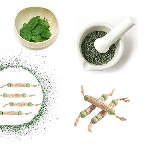 SIOPPKIK- Palitos de Catnip para Gatos, Juguete para morder para Gatos Natural Dental,3pcs