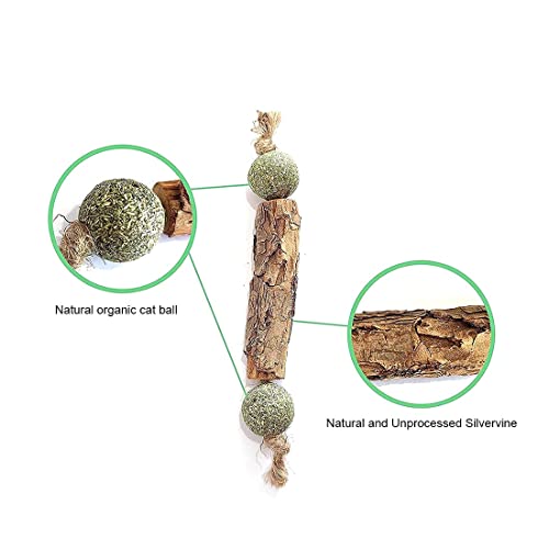 SIOPPKIK- Palitos de Catnip para Gatos, Juguete para morder para Gatos Natural Dental,3pcs