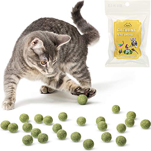 Skylety 25 Juguetes de Bola de Hierba Gatera Comprimida para Gatos Bolas Comestibles para Lametón de Hierba Gatera para Interiores Juguete de Golosina para Gatito para Jugar Masticar Limpiar Dientes