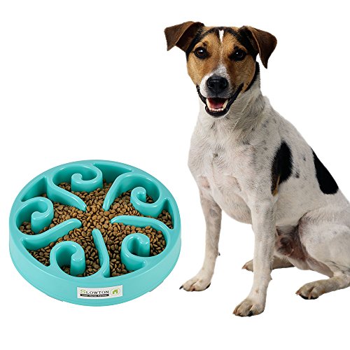 SlowTon Comedero Perro Antivoracidad con Cepillo de Limpieza, Cuencos para Perros y Gatos para Alimentación Lenta, Respetuoso con el Medio Ambiente, Duradero, No tóxico Material