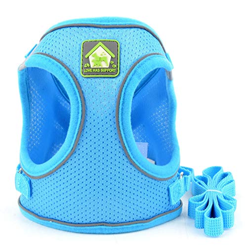 SMALLLEE_LUCKY_STORE Arnés y correa de malla suave para perros y gatos pequeños para caminar, a prueba de escape, reflectante, color azul, talla S