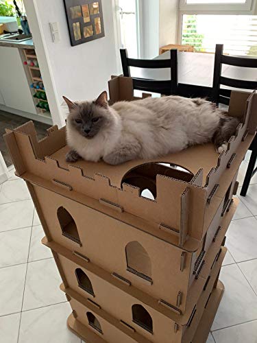 smiley pack Castillo para gatos de cartón corrugado, cueva para gatos, caseta para gatos, suministros para gatos, cesta para gatos, cama para gatos, plegable, cama para gatos (grande)