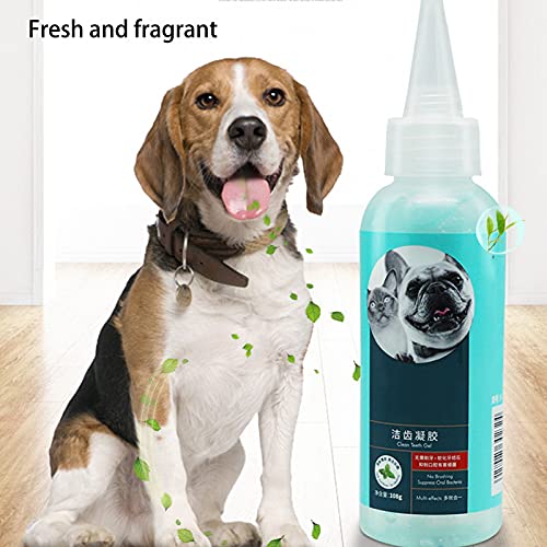 Snufeve6 Gel de Dientes para Mascotas, Reduce la Placa, Elimina el Mal Aliento, Suministros orales para Mascotas, Gel para el Cuidado Dental para Mascotas, Ayuda a Las Mascotas a digerir para la Boca