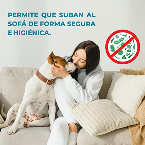 Spray limpiador de patas para perros y gatos - Limpia patas perro - Higienizador patas mascotas (no irritante) - 1 LITRO - Protector de almohadillas + Aloe Vera - Spray antibacteriano para mascotas