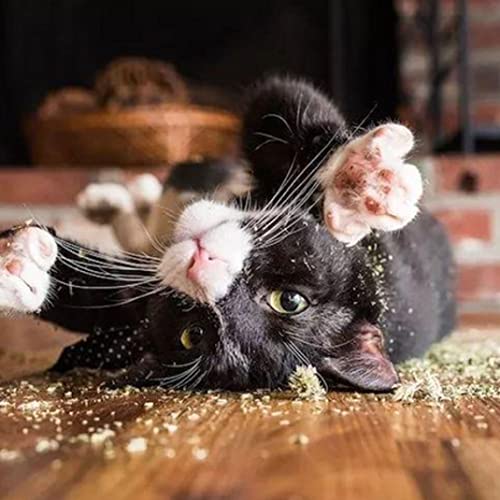 Sraeriot Catnips Extra Fuerte Simply Pet Pet Seco Bagged Cat Mint Mint Hierba para Juguetes De Cat, Catnip