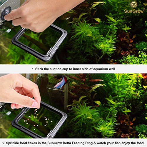 Sungrow Anillo De Alimentación Cuadrado, 10.16 X 10.16cm, Reduce El Desperdicio, Adecuado Para Copos Y Otros Alimentos Para Peces Flotantes, Para Peces Guppy, Dorados Y Otros Peces Más Pequeños, 1 Pz