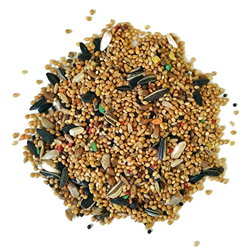 Sunseed Alimento para Ninfas y Agapornis, periquitos 3 Kg