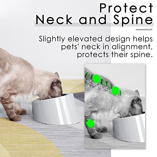 Super Design Cuenco Inclinado para Perros y Gatos, con ángulo Inclinado Inclinado para Perros y Gatos, comedero para Mascotas, Antideslizante y antiderrames, fácil de alcanzar Alimentos