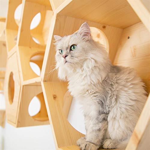 Tabla de rascar para gatos Hexagonal Montado en la pared de la plataforma de salto de gato con marco de escalada de gato de madera maciza Cama de gato de madera fácil de instalar madera de gato de mad
