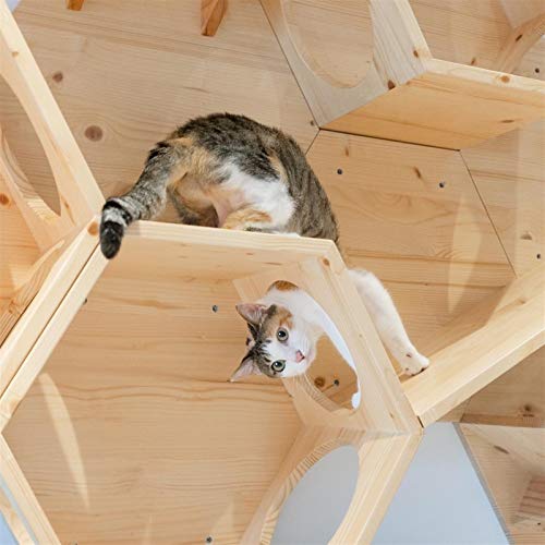 Tabla de rascar para gatos Hexagonal Montado en la pared de la plataforma de salto de gato con marco de escalada de gato de madera maciza Cama de gato de madera fácil de instalar madera de gato de mad
