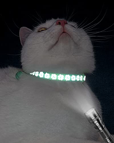 Taglory Collar Gato Reflectante, 2 Piezas Collares para Gatos con Cascabeles y Hebilla Seguro de Liberación Rápida, 19-32cm Turquesa