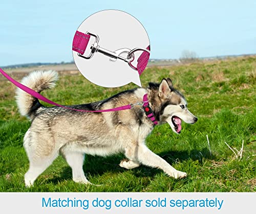 Taglory Correa Perro Reflectante, Mango Acolchado Suave y Gancho de Metal, Correas Adiestramiento para Perros Mediano Grandes, 1.8m x 2.5cm, Fucsia