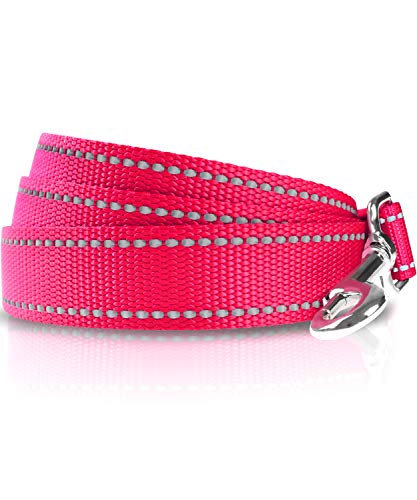 Taglory Correa Perro Reflectante, Mango Acolchado Suave y Gancho de Metal, Correas Adiestramiento para Perros Mediano Grandes, 1.8m x 2.5cm, Fucsia