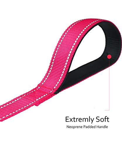 Taglory Correa Perro Reflectante, Mango Acolchado Suave y Gancho de Metal, Correas Adiestramiento para Perros Mediano Grandes, 1.8m x 2.5cm, Fucsia