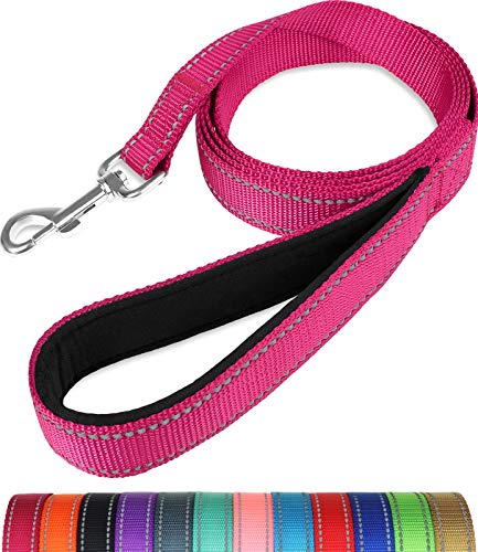 Taglory Correa Perro Reflectante, Mango Acolchado Suave y Gancho de Metal, Correas Adiestramiento para Perros Mediano Grandes, 1.8m x 2.5cm, Fucsia