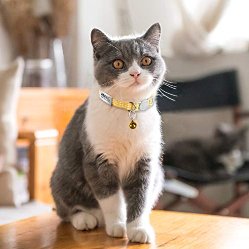 TagME Antiahogo Collar Gato, Collar para Gato Personalizado con Campana y Hebilla Seguro de Liberación Rápida, Amarillo, 2 Paquetes