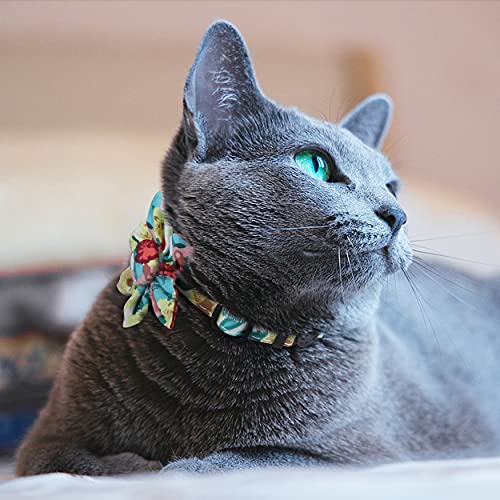 TagME Collar Gato Personalizado con Linda Flor, Ajustable Liberación Rápida Collar para Gato con Etiqueta de Identificación, 1 Pieza