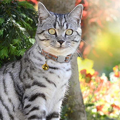 TagME Collar Gato Personalizado, Reflexivo Collares para Gatos con Campanas y Etiquetas de Nombres, Hebilla de Seguridad de Liberación Rápida, Apta para la Mayoría de Los Gatos, 1 Paquete, Marrón