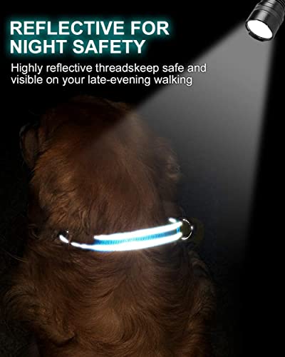 TagME Personalizado Nylon Collares para Perros, Ajustable Reflectante Collar Perro con Acolchados, Etiqueta de Acero Inoxidable Nombre Grabado y Número de Teléfono, Rosa