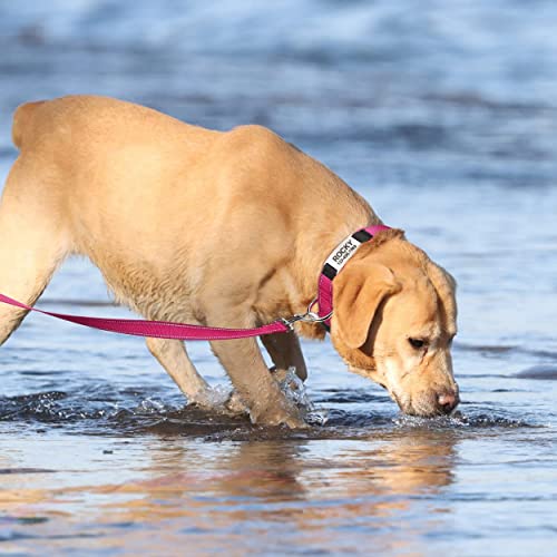 TagME Personalizado Nylon Collares para Perros, Ajustable Reflectante Collar Perro con Acolchados, Etiqueta de Acero Inoxidable Nombre Grabado y Número de Teléfono, Rosa