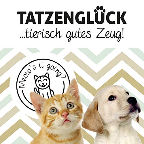 Tatzenglück Juego de 12 filtros de carbón activo de repuesto para fuente de agua para mascotas de Europet Bernina, EBI, Mango y Cascade