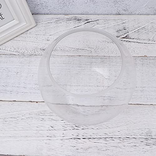 TEHAUX Terrario de vidrio - 20 cm redondo de vidrio tanque de pescado globo ecológico Fish Bowl terrario vidrio acuarios para el hogar hotel pescado tamaño M