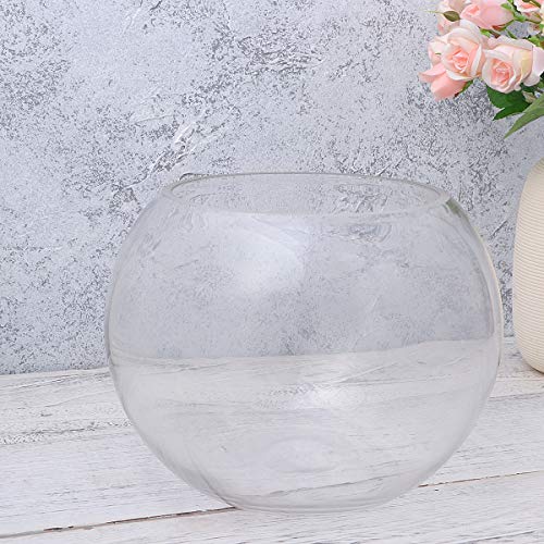 TEHAUX Terrario de vidrio - 20 cm redondo de vidrio tanque de pescado globo ecológico Fish Bowl terrario vidrio acuarios para el hogar hotel pescado tamaño M