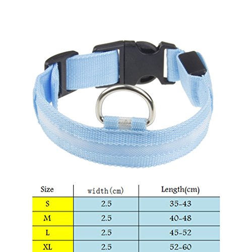 teng hong hui Panteras de Nailon Lindas Pantalones Luminosa LED Cuello de Perro destellado Brillo Brillo Collares de Mascotas luz de Noche Anti-perdidas Suministros para Mascotas