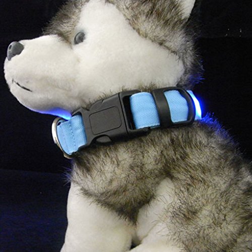 teng hong hui Panteras de Nailon Lindas Pantalones Luminosa LED Cuello de Perro destellado Brillo Brillo Collares de Mascotas luz de Noche Anti-perdidas Suministros para Mascotas