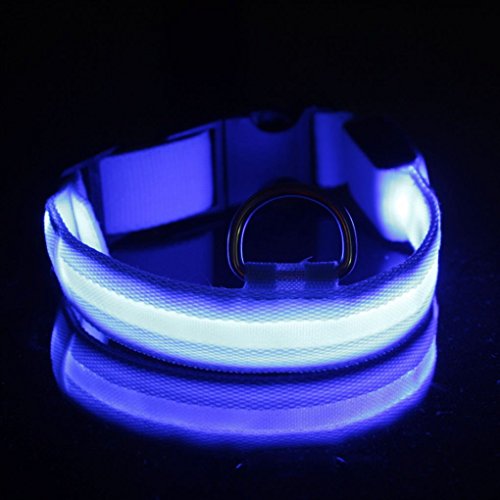 teng hong hui Panteras de Nailon Lindas Pantalones Luminosa LED Cuello de Perro destellado Brillo Brillo Collares de Mascotas luz de Noche Anti-perdidas Suministros para Mascotas