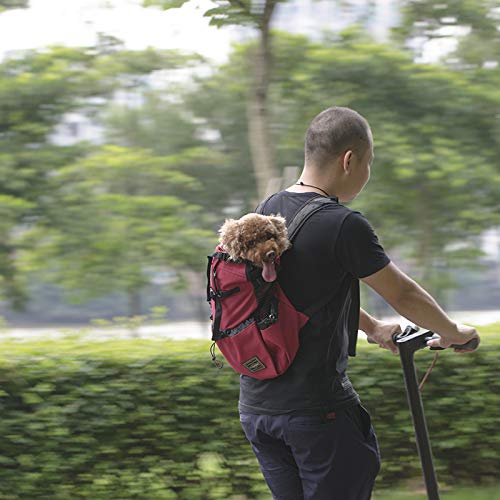 TENGGO Mochila De Transporte De Mascotas De Doble Hombro Frente De Mascota Ajustable Gato Perro Viaje De Transporte- M
