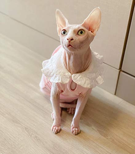 TENGTUD Ropa de Gato de Pelo, Sphynx/Devon Spring/Otoño Manga Chaleco-S_Rosa