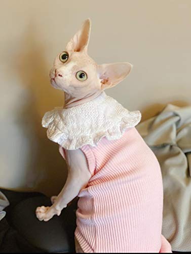 TENGTUD Ropa de Gato de Pelo, Sphynx/Devon Spring/Otoño Manga Chaleco-S_Rosa