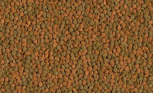 Tetra - Wafer Mix, 119 g/250 ml