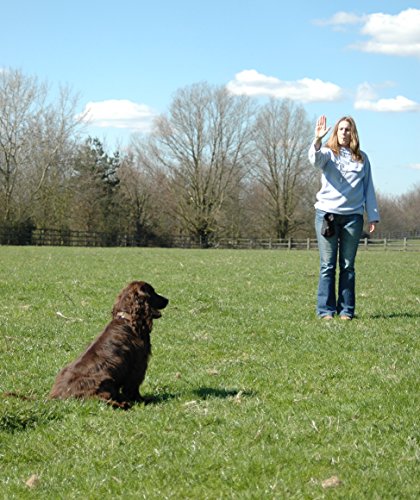 The Company of Animals 0886284222907 - Whistle Silent