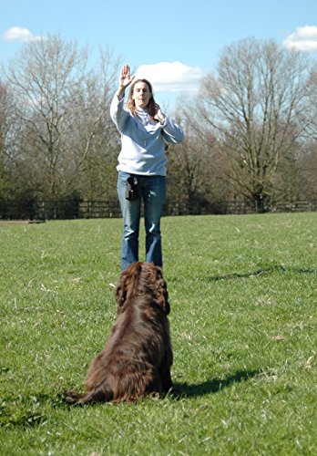 The Company of Animals 0886284222907 - Whistle Silent