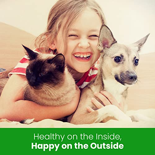 The Healthy Dog Co Bálsamo Calmante Natural para Patas, Nariz y Piel de Perros y Gatos | Crema Hidratante para Reparar la Piel Seca y Agrietada | para la Piel y Las Almohadillas de Las Mascotas
