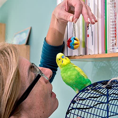 THE TWIDDLERS 10 Piezas Juguetes para Loros y Pájaros - Juguetes para Masticar para Pequeños y Medianos Loros y Pájaro Mascotas