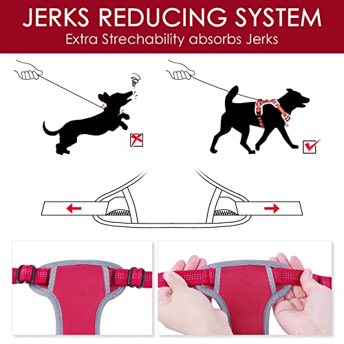 ThinkPet Arnés Deportivo para Perros sin tirones y Transpirable: Chaleco Ajustable de Seguridad Acolchado Reflectante, para Exteriores y Entrenamiento Perros pequeños medianos Grandes