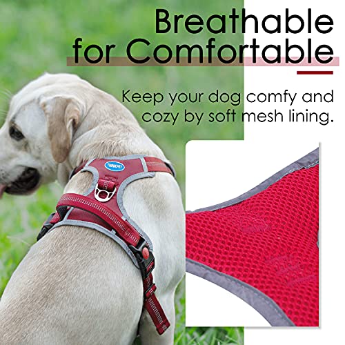 ThinkPet Arnés Deportivo para Perros sin tirones y Transpirable: Chaleco Ajustable de Seguridad Acolchado Reflectante, para Exteriores y Entrenamiento Perros pequeños medianos Grandes