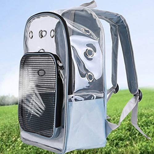TIANYOU Comportante Cat Portrador Portrador Port Portendiente Cats Portátil Cats Bolsage Bolso de Portador de por Dog Ajustable Viaje Transparte Bolsa de Pet Perrito Que Lleva Mesh