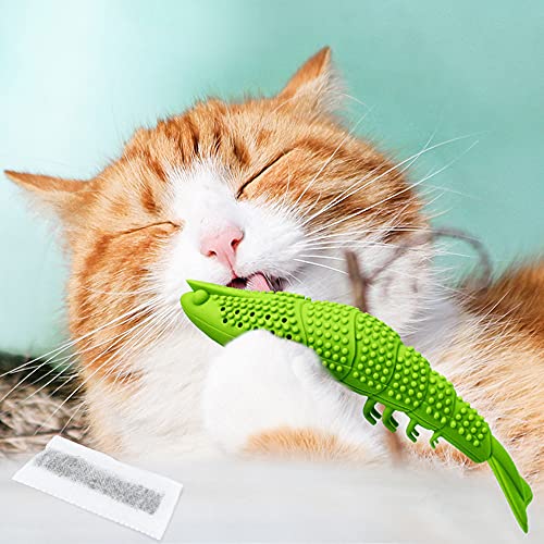 Timertick Juguete para Gato con Hierba Gatera,Cepillo de Dientes de Caucho Duro y Duradero,Juguete Interactivo para Gatos para Masticar (Verde Claro)