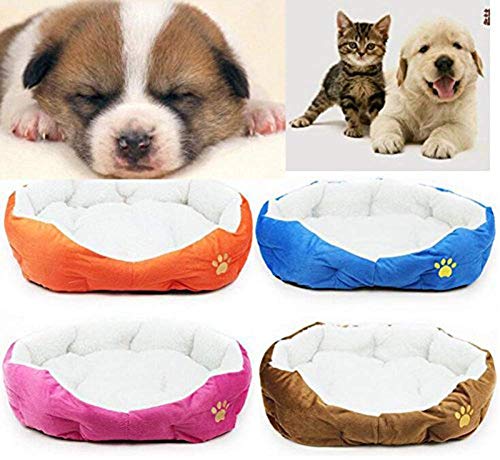 Topdo - Colchón para perro, colchón para gato, cama para animales de compañía redonda u ovalada en forma de cojín (45 x 35 x 15 cm), color verde