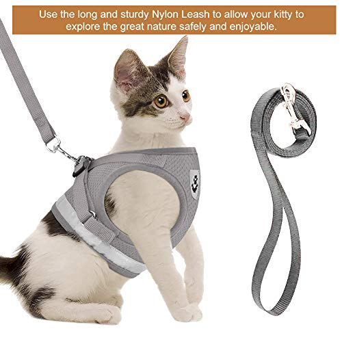 Toulifly Arnés para Gatos, Chaleco con Correa, arnés Ajustable para Gatos pequeños y Perros, Set de arnés Escape a Prueba de Gatos con Correa (M)