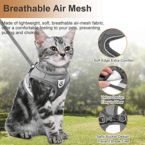 Toulifly Arnés para Gatos, Chaleco con Correa, arnés Ajustable para Gatos pequeños y Perros, Set de arnés Escape a Prueba de Gatos con Correa (M)