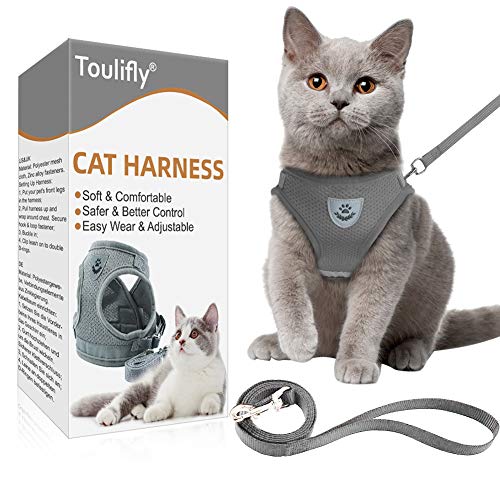 Toulifly Arnés para Gatos, Chaleco con Correa, arnés Ajustable para Gatos pequeños y Perros, Set de arnés Escape a Prueba de Gatos con Correa (M)