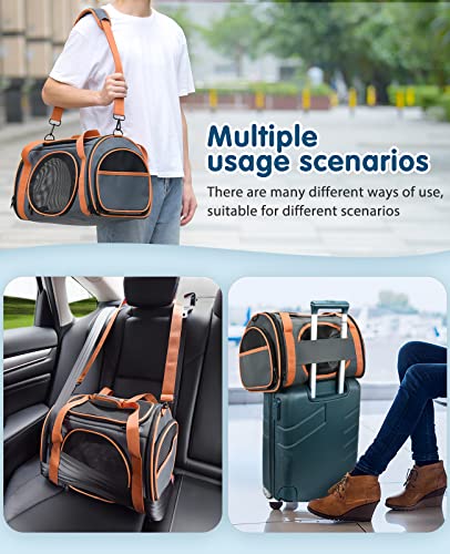 Transportín Gato Perro, Transportadora para Mascotas con 5 Ventanas de Malla, Bolsa Transportadora para Mascotas de Lados Suaves con Colchón Suave para Viajan, Transportín para Gatos